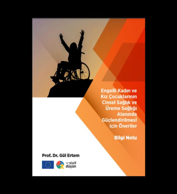 Engelli Kadın ve Kız Çocuklarının Cinsel Sağlık ve Üreme Sağlığı Alanında Güçlenmesi İçin Öneriler