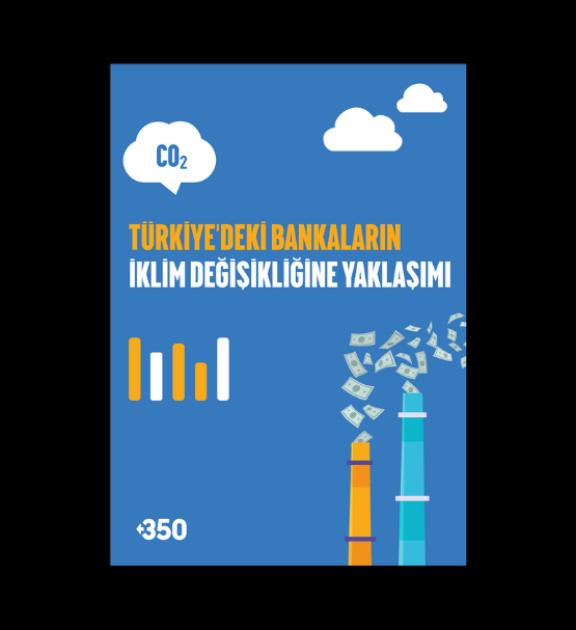 Türkiye’deki Bankaların İklim Değişikliğine Yaklaşımı