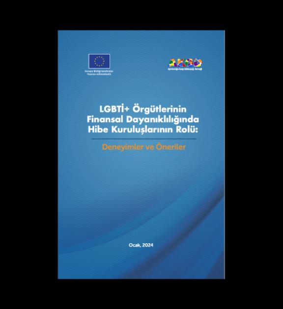 LGBTİ+ Örgütlerinin Finansal Dayanıklılığında Hibe Kuruluşlarının Rolü: Deneyimler ve Öneriler