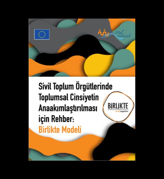 Renkli dalgalı arka plan üzerinde Birlikte Modeli rehberi kapağı